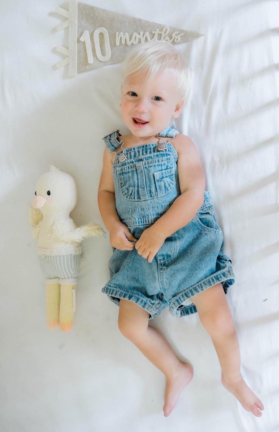 Monthly milestones interchangeable flag for baby photos