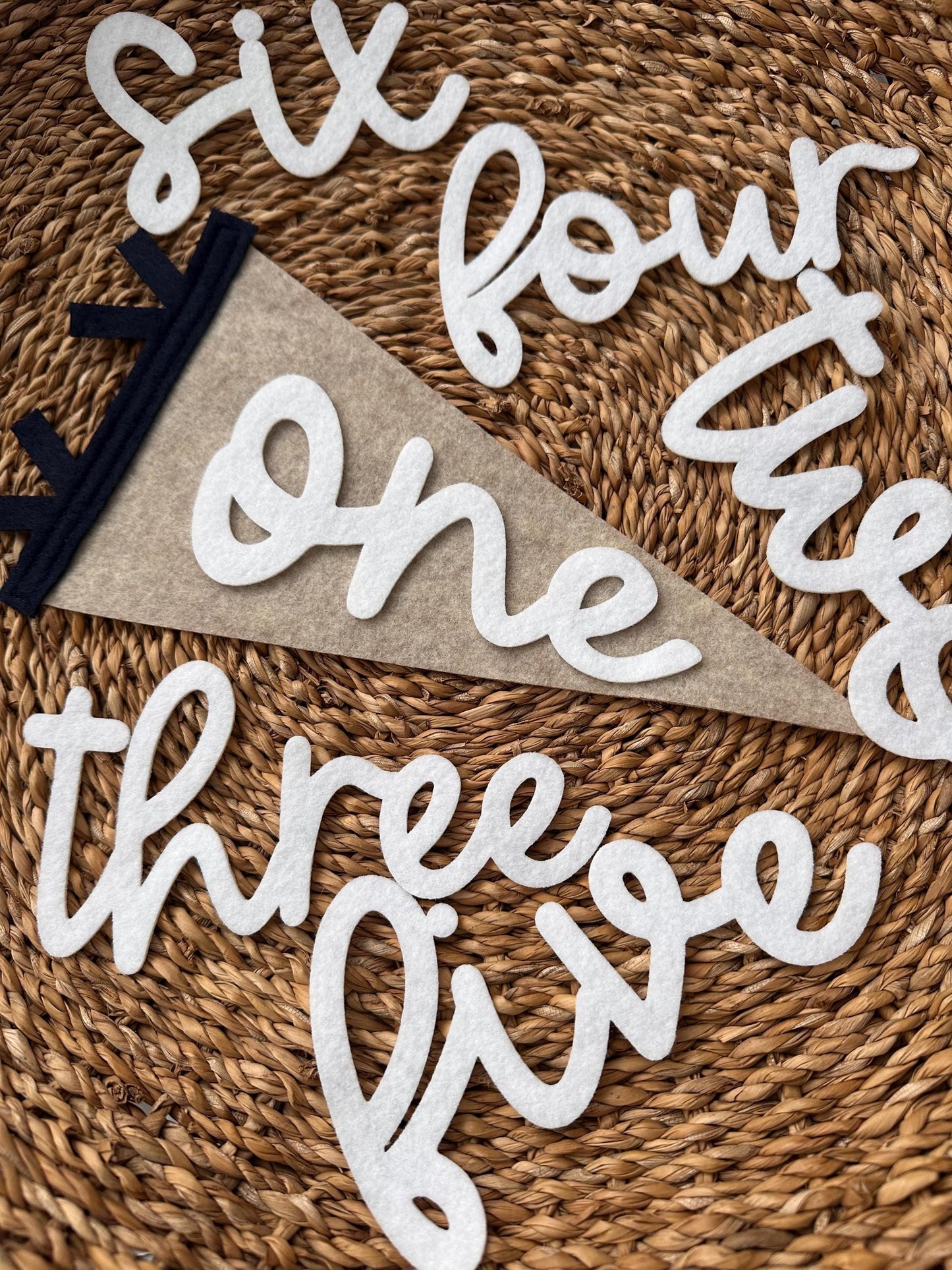 Monthly milestones interchangeable flag for baby photos