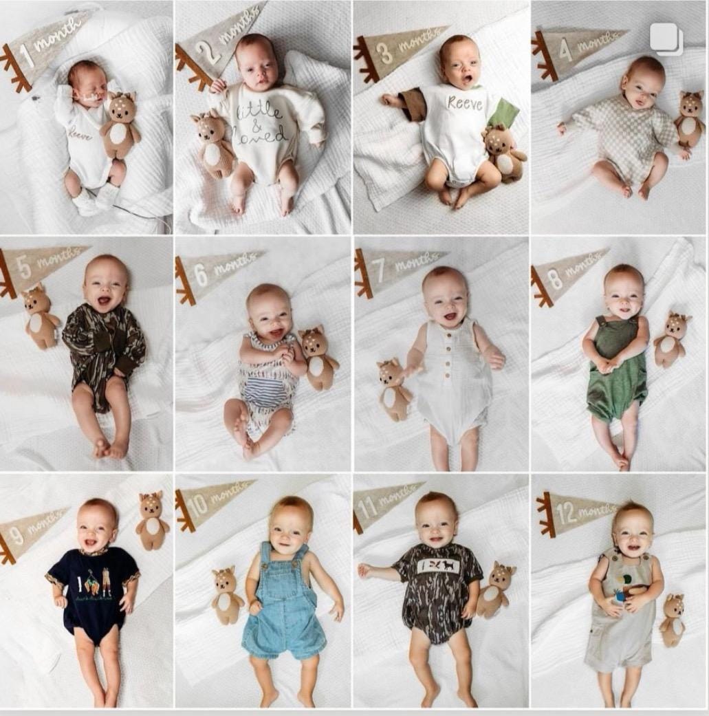 Monthly milestones interchangeable flag for baby photos