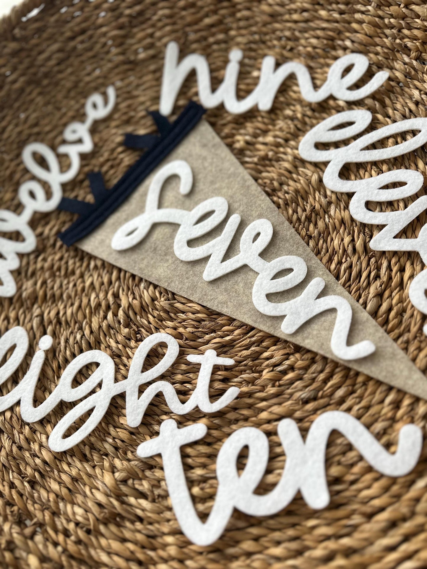 Monthly milestones interchangeable flag for baby photos