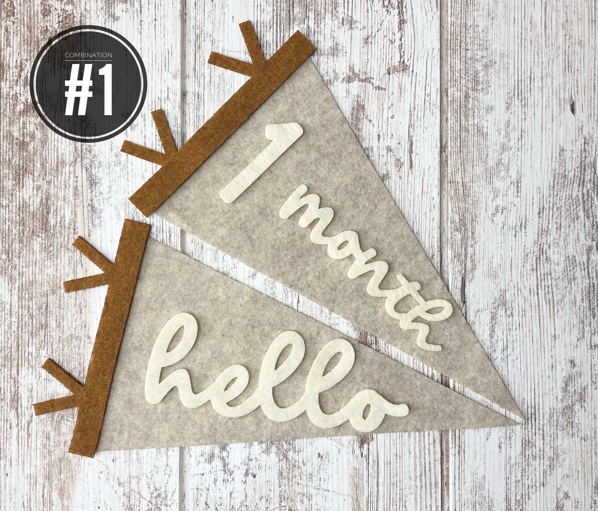 Monthly milestones interchangeable flag for baby photos, newborn photo prop first year, felt neutral pennant, baby shower gift