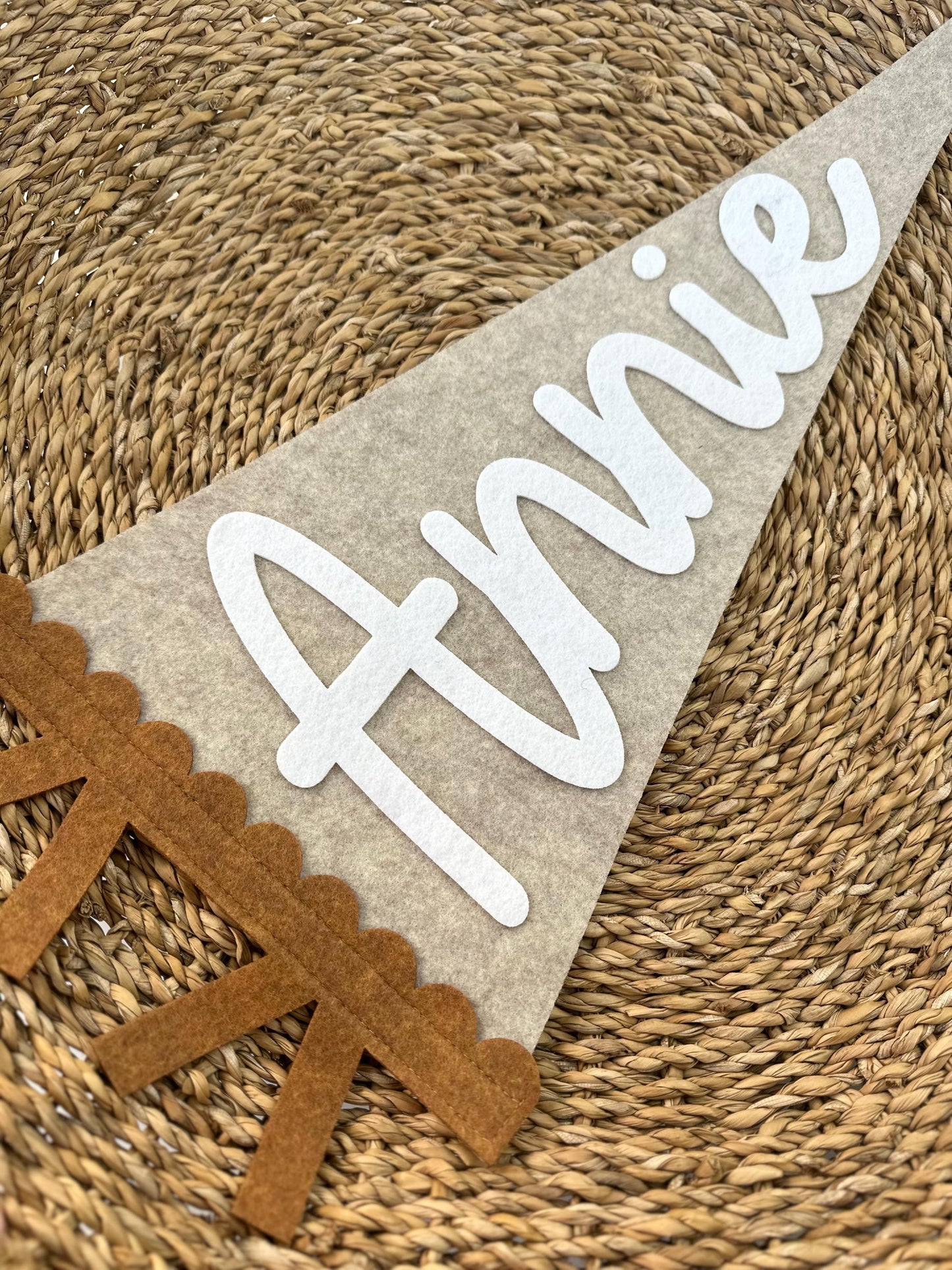Personalized Scalloped Felt Name Pennant, Baby Girl Gift, Girl room decor