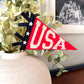 USA pennant flag, red white and blue American Flag, Fourth of July door decor, patriotic summer felt flag