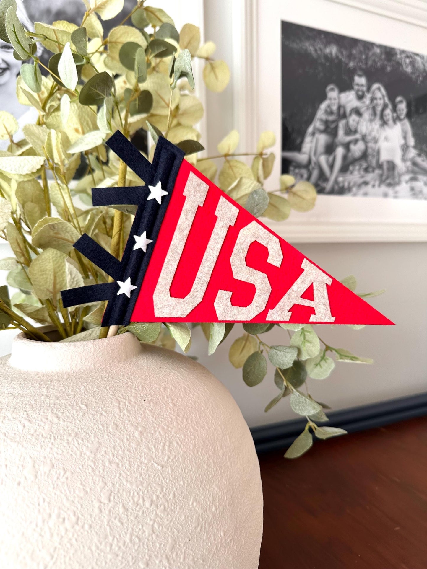 USA pennant flag, red white and blue American Flag, Fourth of July door decor, patriotic summer felt flag